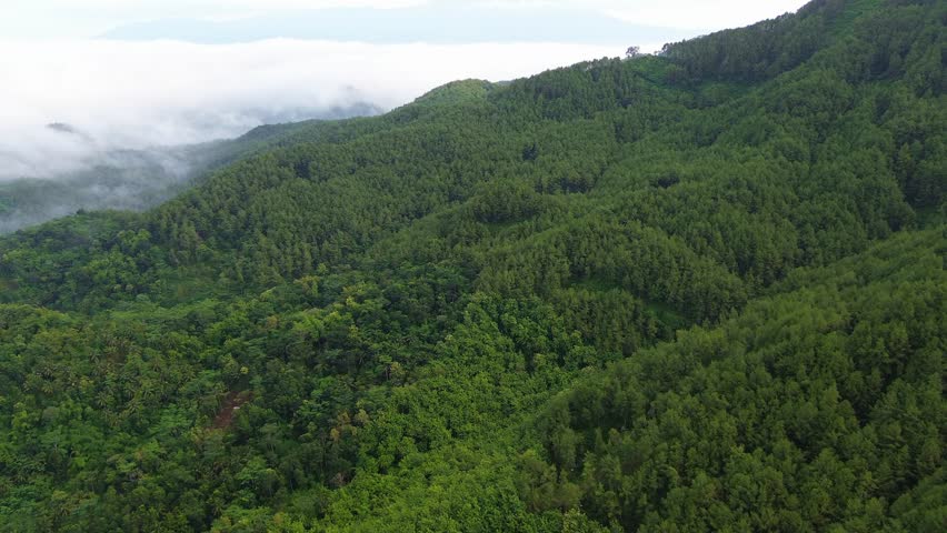 Aerial drone view of hills with lush forests and trees, with mountains in the background and morning mist