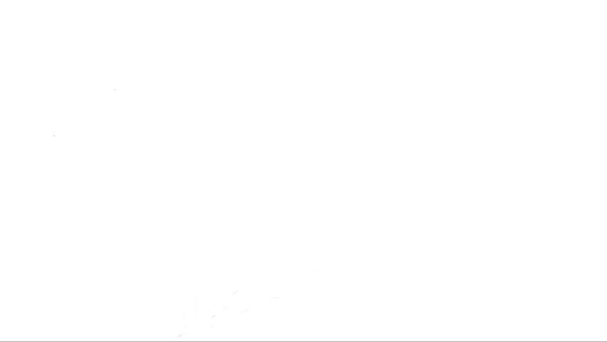 Shutterstock Video