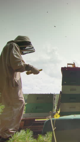Slomo of apiarist checking hive frame with bees buzzing around, vertical