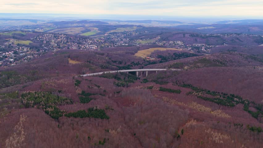Vienna Woods, Austria – Stunning Aerial Cinematic View of Autumn Forest with Fallen Leaves