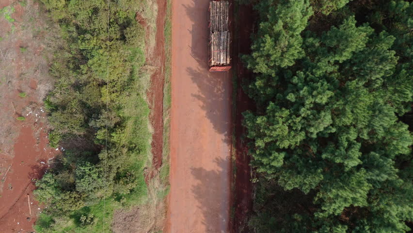 Timber truck transporting harvested logs along in rural dirt road, Drone shot