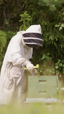Apiarist in bee suit takes out frame from beehive to inspect, vertical