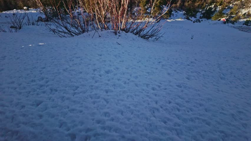 Rising clip panning from footprints in the snow up, revealing snow capped mountains surrounded by a green forest and a clear blue sky.