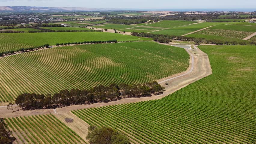 Scenic aerial view of McLaren Vale Vineyard with rows of grapevines, road, and water reservoir in South Australia. Perfect for travel, wine, and nature projects.
