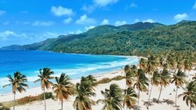 Drone view of a wild beach in the Dominican Republic. Vacation on a sunny palm beach by the blue Caribbean Sea. Clean white sand, blue sea water, tall beautiful palm trees and blue sky. - Powered by Shutterstock - Get 15% off with code: PIKWIZARD15
