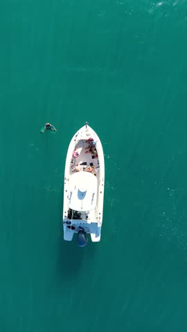Aerial view of a boat in the blue ocean and people swim around in hawaii top down drone