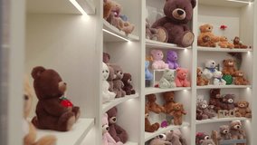 A collection of teddy bears in different colors and sizes displayed on illuminated shelves at a toy exhibition. A showcase of stuffed animals for retail or collectible purposes. - Powered by Shutterstock - Get 15% off with code: PIKWIZARD15
