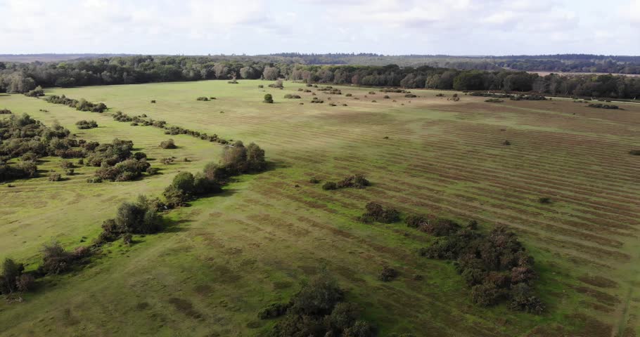 Aerial view of the beautiful landscape of New Forest National Park in Hampshire, England, showing meadows, fields and countryside