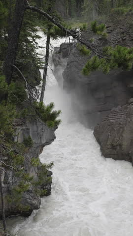 A powerful waterfall surrounded by rocky cliffs and evergreen trees, Sunwapta Falls, Canada