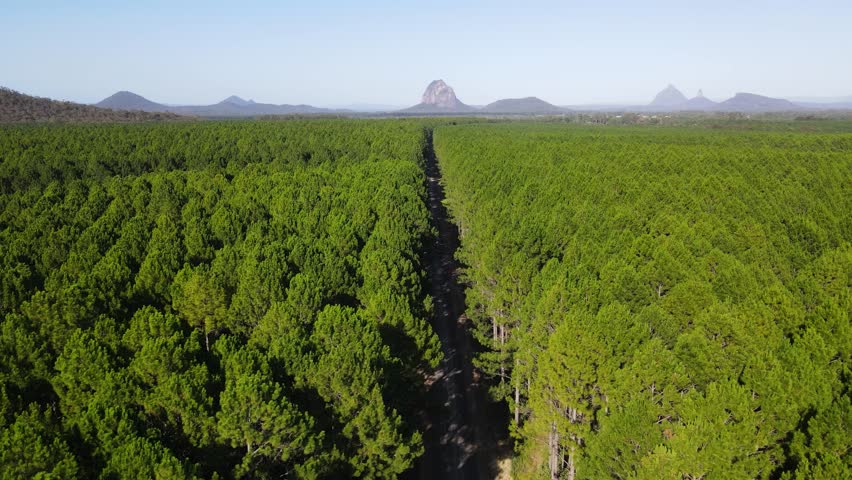 A car travels through a lush green forest along a secluded road with a scenic mountain range in the distance. Drone view