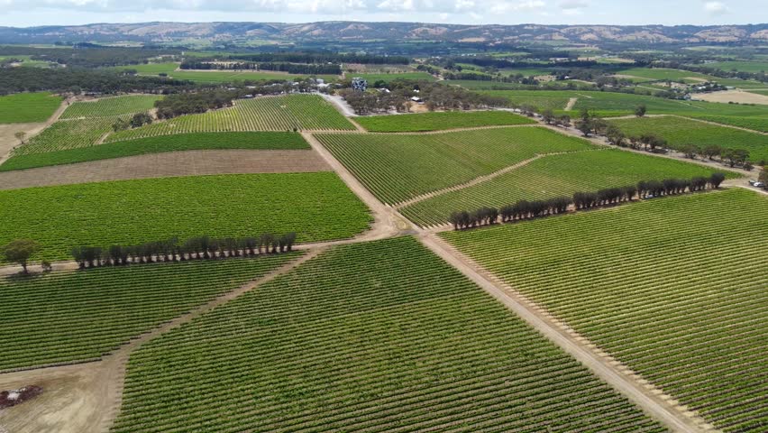 Scenic aerial view of McLaren Vale vineyard in South Australia, showcasing the rows of grapevines, winery buildings, and surrounding landscape. Perfect for wine, travel, and nature projects.