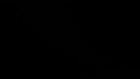 Slow Diagonal Optical Lens Flare Transition. Vibrant optical lens flares with light leaks and glow patterns. Naturally captured on black background. - Powered by Shutterstock - Get 15% off with code: PIKWIZARD15