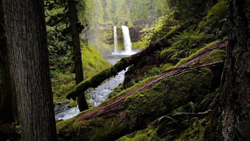 Aerial shot of the amazing Koosah Falls and lush moss covered forest on the McKenzie River in Oregon.