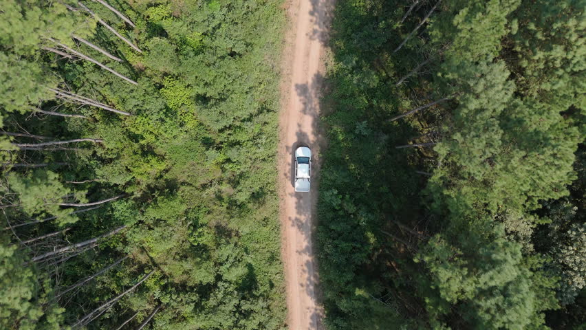 Aerial view of a white pickup truck driving along a dirt road amidst a lush green forest in Misiones, Argentina, showcasing the forestation industry in the region, top down drone shot