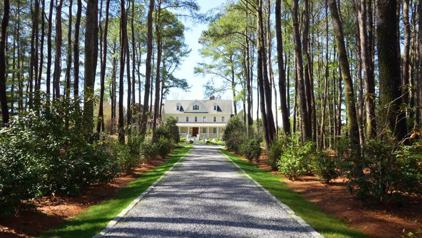 A perfectly symmetric shot glides down a long driveway lined with towering timber trees on both sides. In the far distance, a bright yellow house stands warmly, framed by vibrant, breathtaking colors.