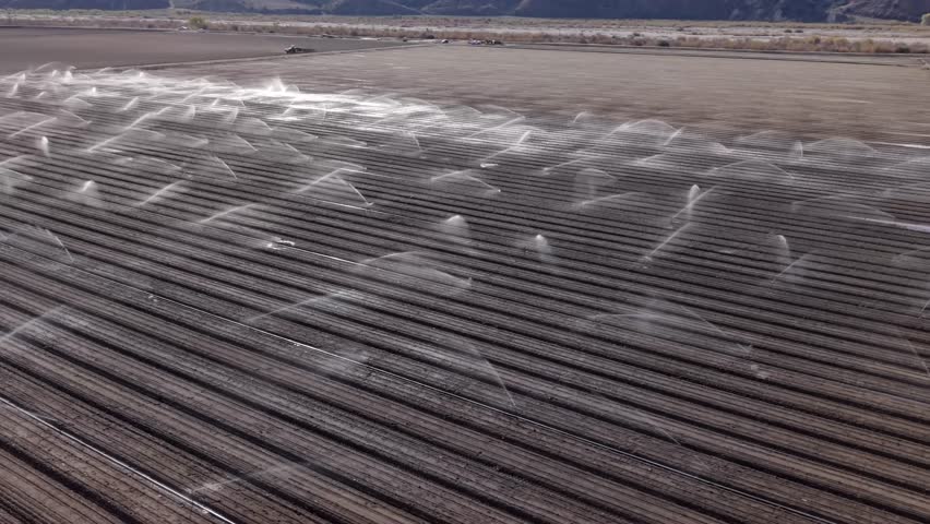 Irrigation Water System Spraying an Agricultural Farm Field In California, Aerial Flyover.