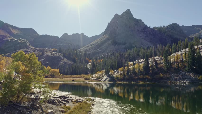 Aerial drone shot of Lake Blanche in Utah’s Big Cottonwood Canyon. The camera rises past golden aspens, a moose, and green pines reflecting on an alpine lake framed by a towering mountain in autumn.
