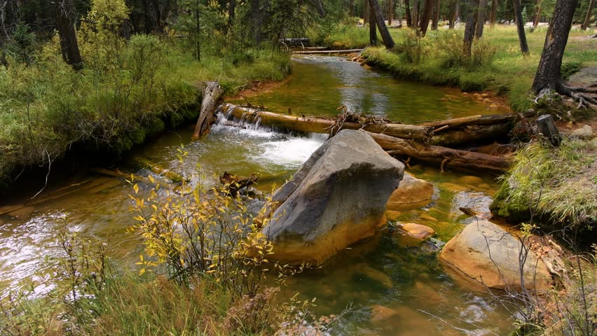 Autumn Mountain Creek - Autumn view of a colorful mineral-rich mountain creek at side of Guanella Pass Scenic Byway, near Grant, Colorado, USA.