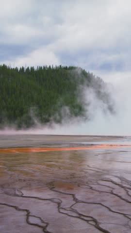 Discover and immerse yourself in the captivating beauty of Yellowstone National Park, where you can explore vibrant geothermal features alongside majestic, lush forests teeming with wildlife