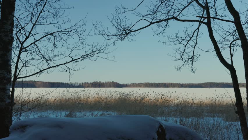 Winter landscape captured from the forest towards the lake.