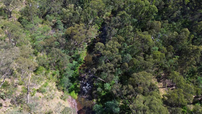 Aerial shot following a river upstream in the Australian mountains.