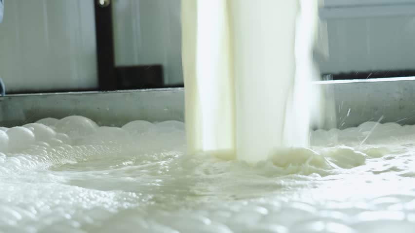 Worker pouring fresh milk into the milk tank for transport to dairy plant