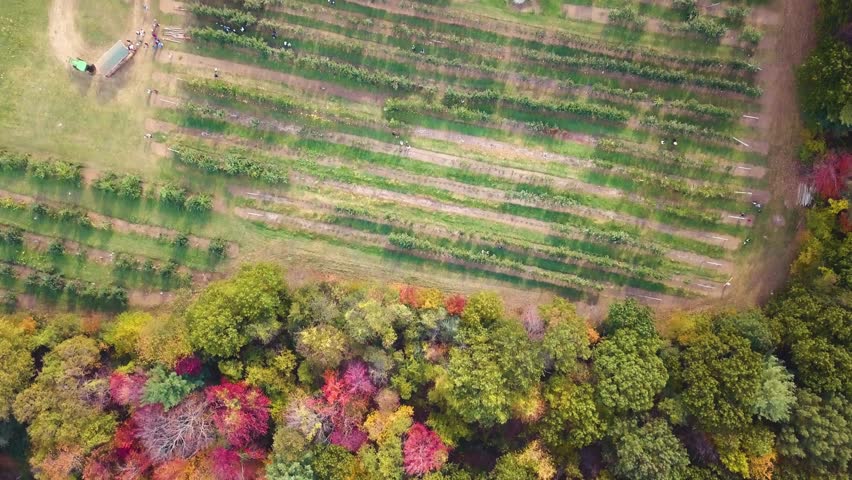 Top view of Apple Picking Farm in Peabody, Essex County, Massachusetts, United States
