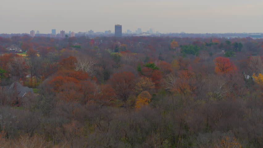Beautiful aerial flying over late autumn trees toward a park and pond with the downtown St. Louis skyline on the horizon. Captures moody skies, vibrant foliage, and serene nature.