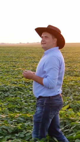 A farmer carefully inspecting lush crops in a beautifully sunsetilluminated field,