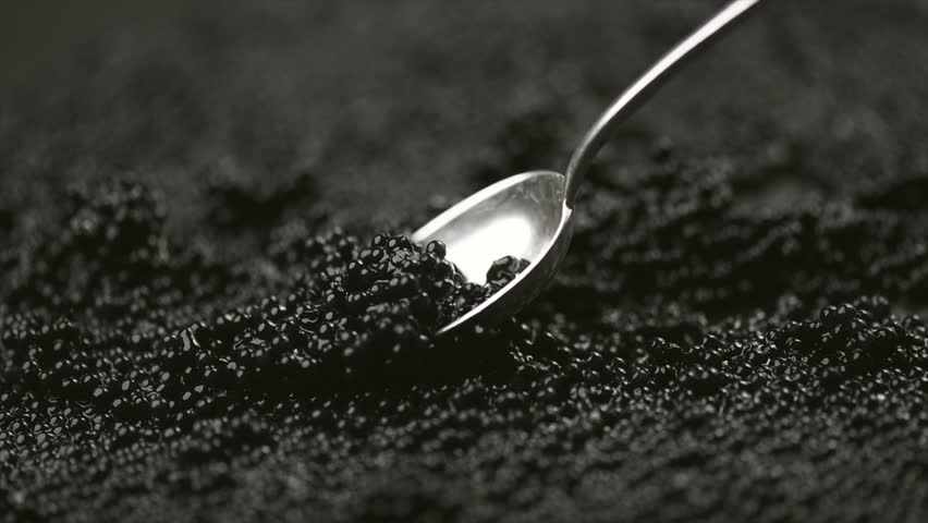 Black Caviar scooping with silver spoon. High quality natural sturgeon black caviar close-up. Delicatessen. Texture of expensive luxury caviar background. Slow motion. 