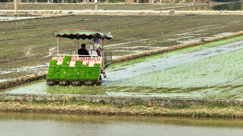 Aerial View of Tractor Plowing Flooded Rice Field