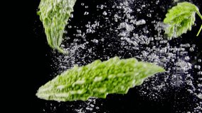 Close up shot of bitter gourd falling into aquarium with bubbles on black background. - Powered by Shutterstock - Get 15% off with code: PIKWIZARD15