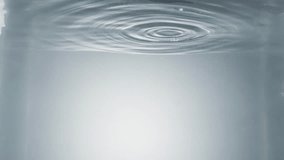 Man hand dropping bitter melon into clear water in slow motion against gray background - Powered by Shutterstock - Get 15% off with code: PIKWIZARD15