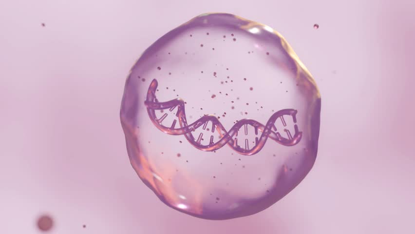 3d animation of floating DNA helix inside of cell bubble.