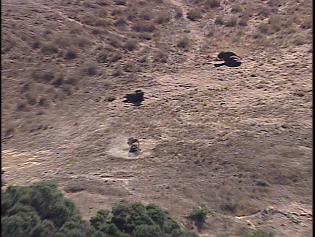 Aerial LS of Buffalo sitting on mountain