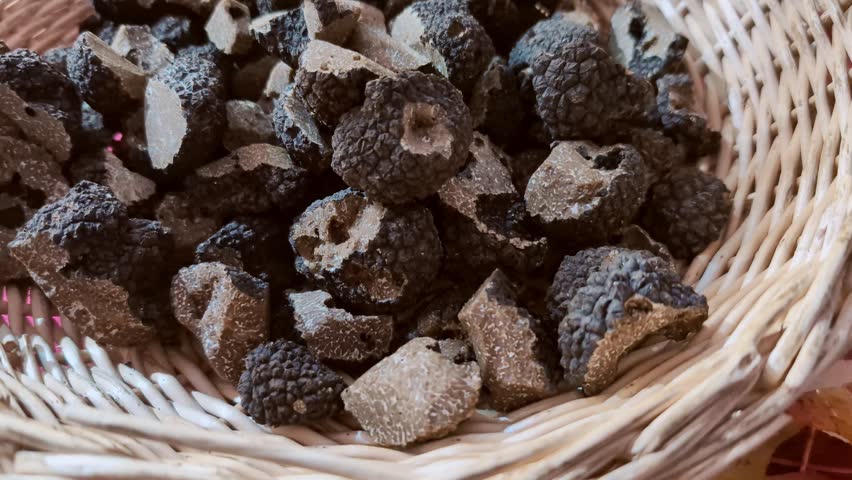 A rustic basket with fresh harvested black truffles mushrooms. Traditional local european market of most expensive mushrooms