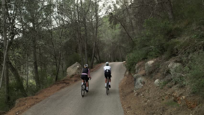 Two cyclists ride along a scenic paved road winding through a lush forest. Sunlight filters through the trees, creating a peaceful and idyllic atmosphere. Perfect for travel, sports, and nature themes
