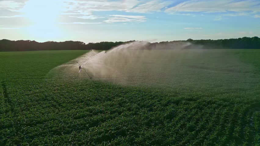 Irrigation equipment. Irrigation system for American farm. Sprinklers watering system. Irrigation system for farm land. Lawn sprinkler watering field. Aerial drone video of irrigation used to water