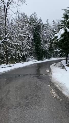 A snowy road through a winter forest