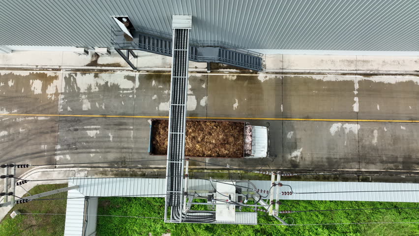 Oil Palm EFB Transportation: Truck Delivering Raw Material to Pulp and Paper Facility