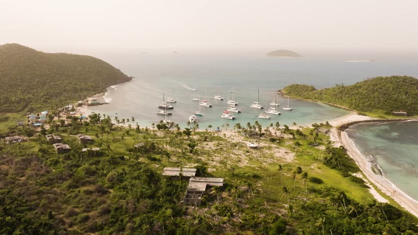 Aerial view of Mayreau in St. Vincent and the Grenadines with many palm trees and lush forest surrounded by tropical blue water
