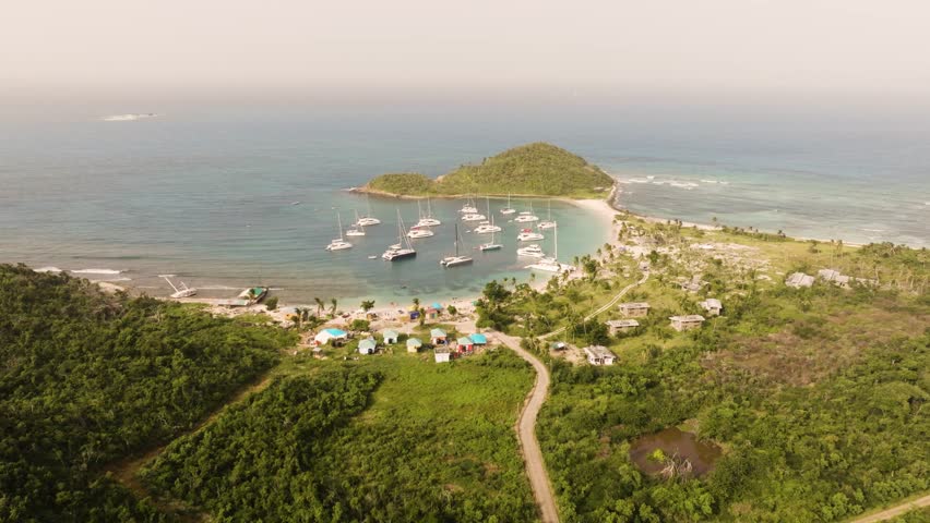 Aerial view of Mayreau in St. Vincent and the Grenadines with lush forest and palm trees up against the tropical water of the bay