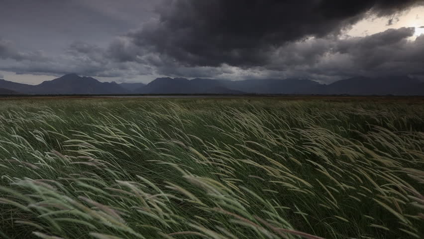 Moody and dark, wind blows grass under storm cloud mountain landscape