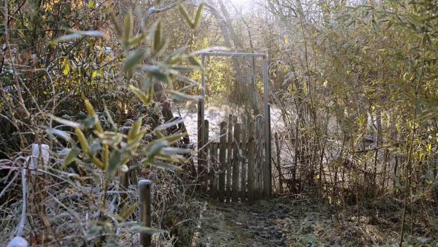 Serene winter forest with a snowy gate, symbolizing solitude and tranquility, dominated by green and white hues.