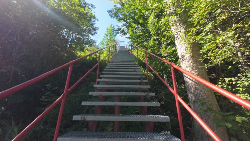 Steps Inside The Forest Park Around Mont Sutton In Quebec, Canada. POV Shot
