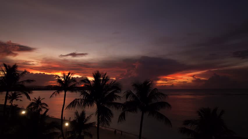 Drone Pans Around Palm Trees At Sunset In Guam
