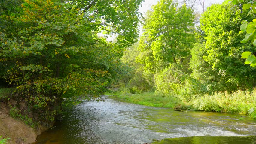 Autumn landscape with river and trees