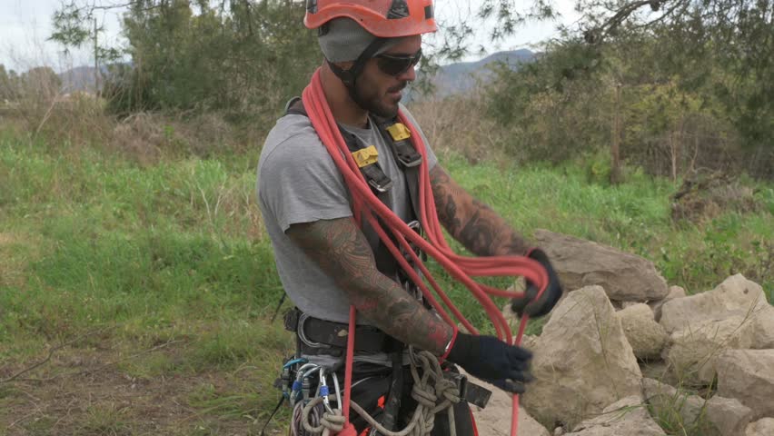 Arborist preparing ropes and equipment for tree pruning