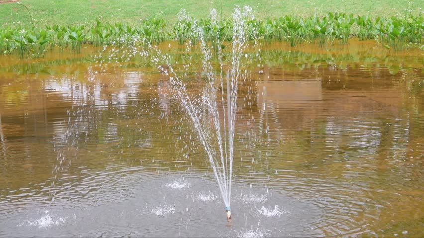fountain decoration in a garden lake