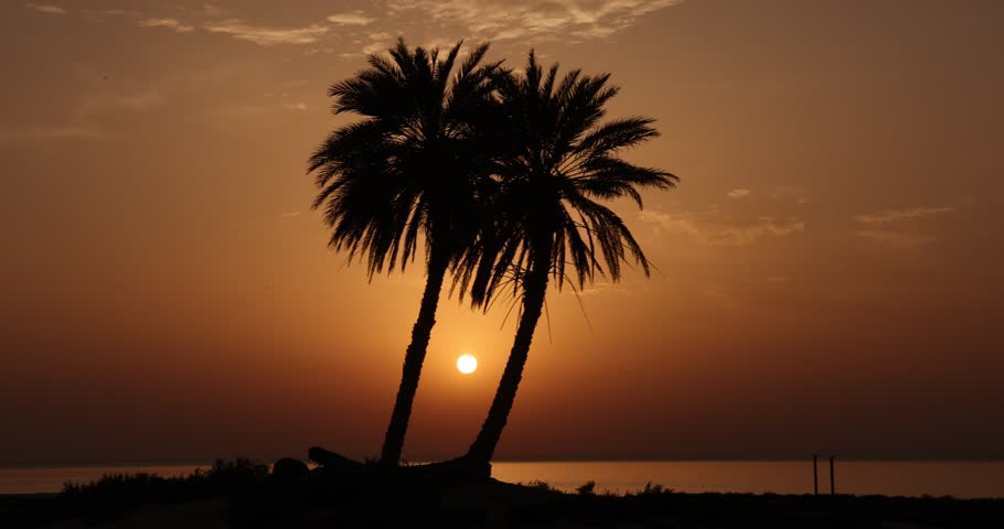 Umm Bab Beach - Palm Tree Beach - Doha Qatar 23-02-2025